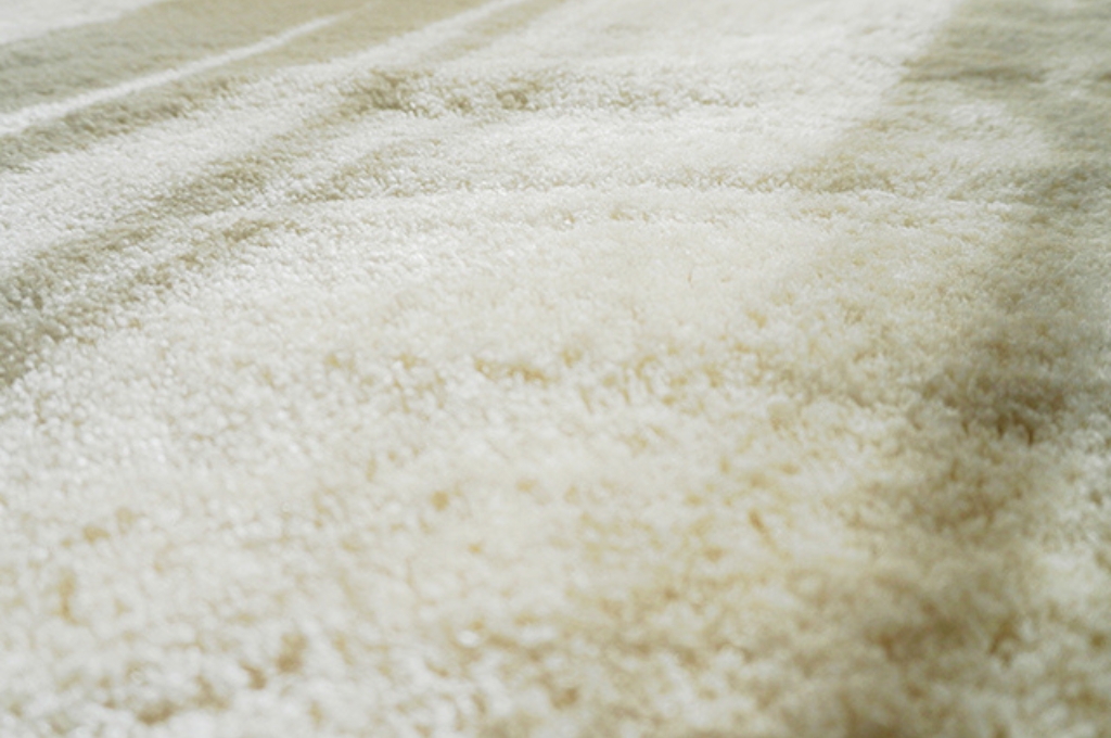 絨毯・カーペット